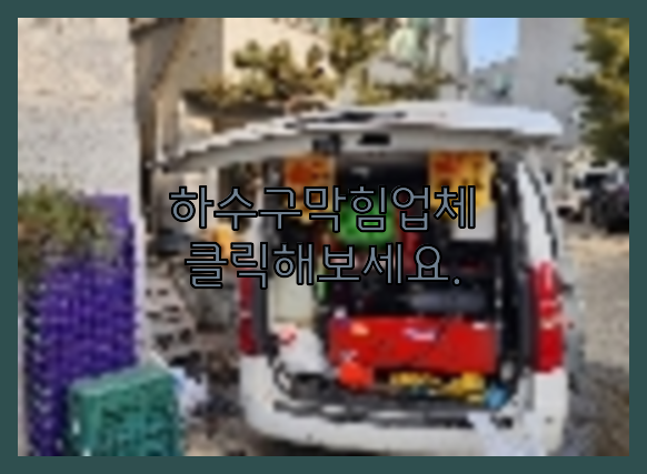 하수구청소