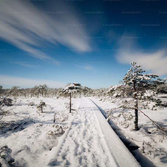 강동구고압세척