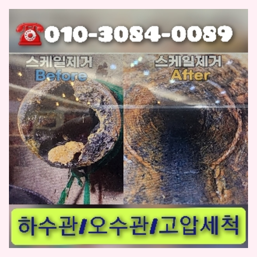 가운동하수구역류